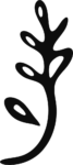 Abstract Plant Branch SVG Organic Silhouette Vector