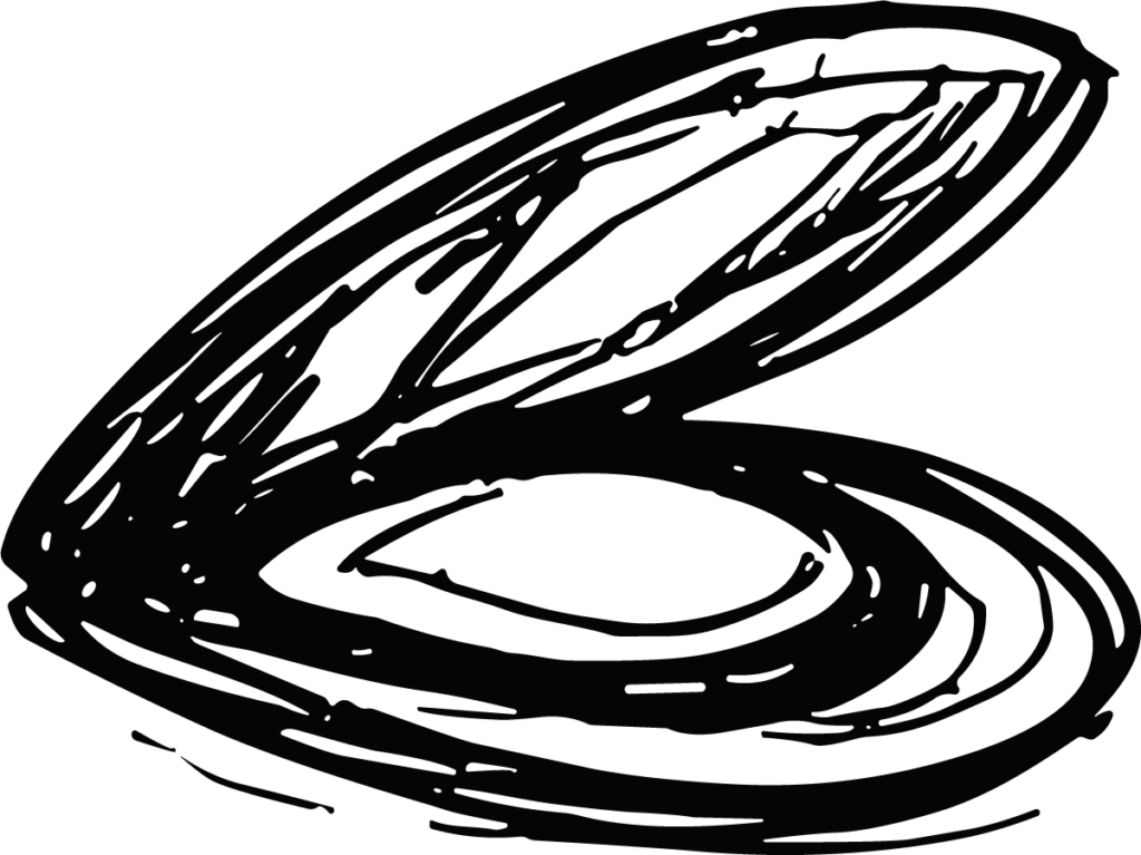 Abstract Swirl SVG Bold Scribble Vector