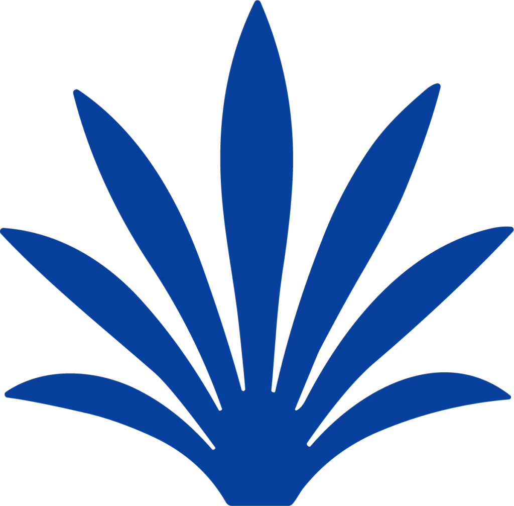 Agave Leaves SVG Bold Botanical Vector