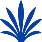 Agave Leaves SVG Bold Botanical Vector