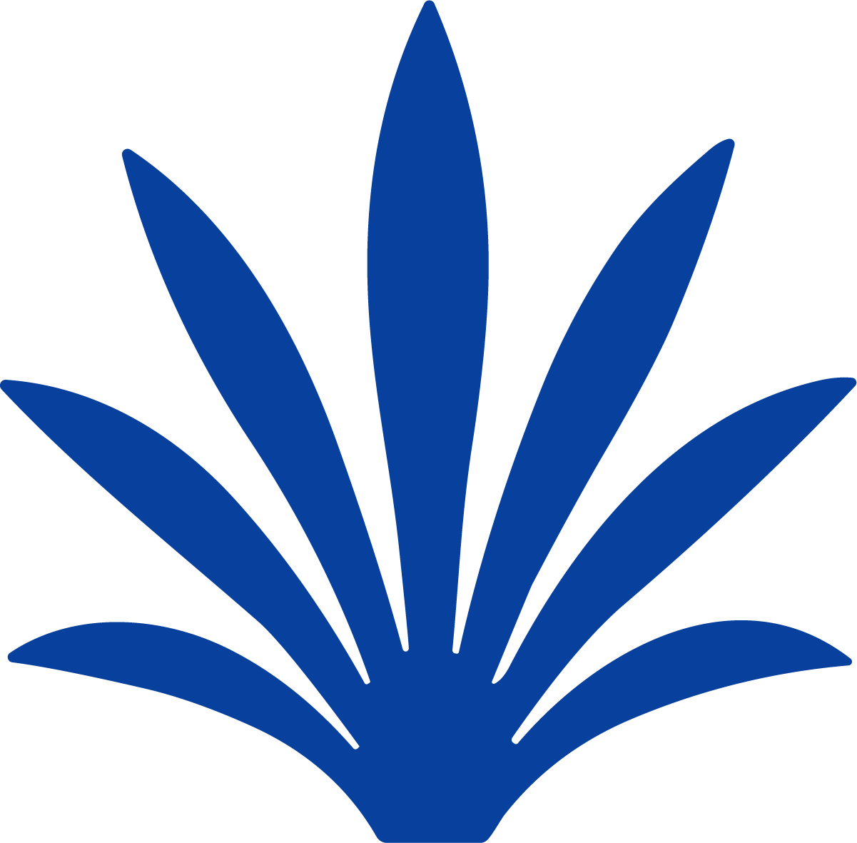 Agave Leaves SVG Bold Botanical Vector - Image 1