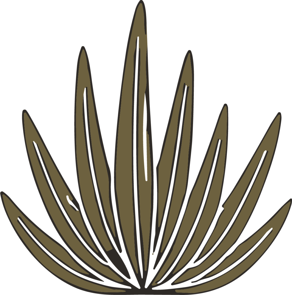 Agave Plant SVG Desert Bloom Vector
