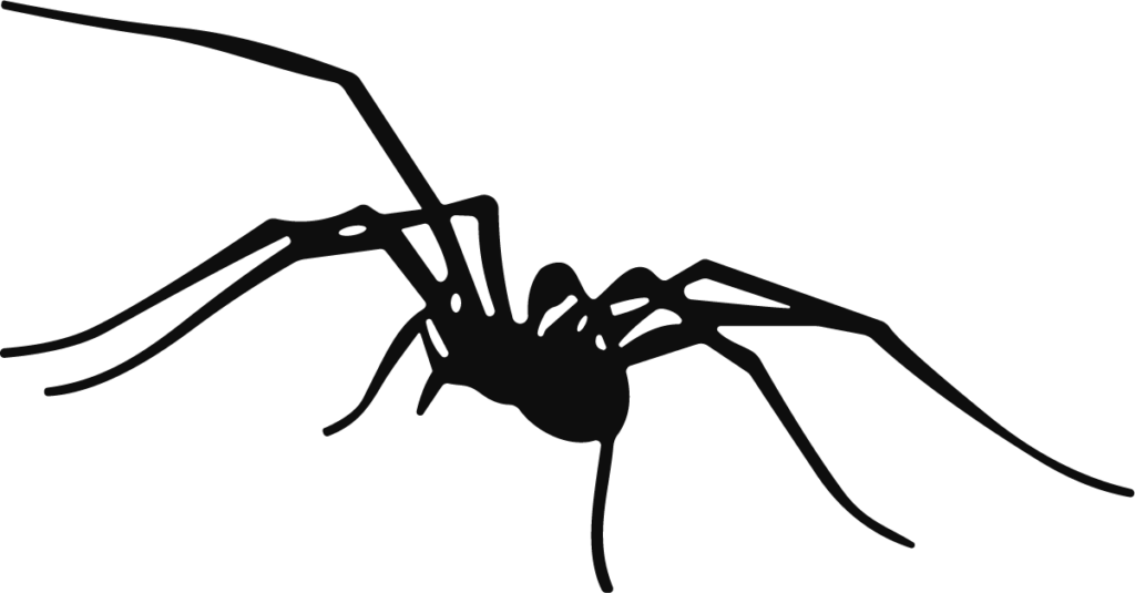 Black Spider SVG Spooky Silhouette Vector
