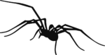 Black Spider SVG Spooky Silhouette Vector