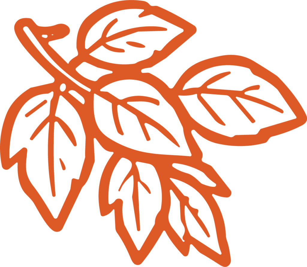 Autumn Leaf Branch SVG Rustic Outline Vector