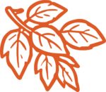 Autumn Leaf Branch SVG Rustic Outline Vector