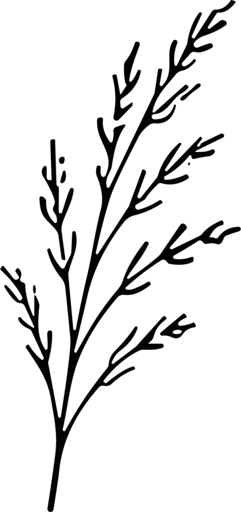 Bare Branch SVG Delicate Sketch Vector
