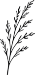 Bare Branch SVG Delicate Sketch Vector
