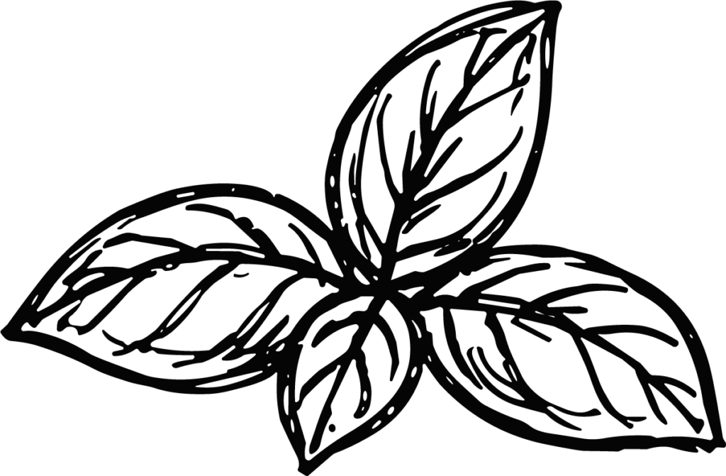 Basil Leaves SVG Bold Outline Vector