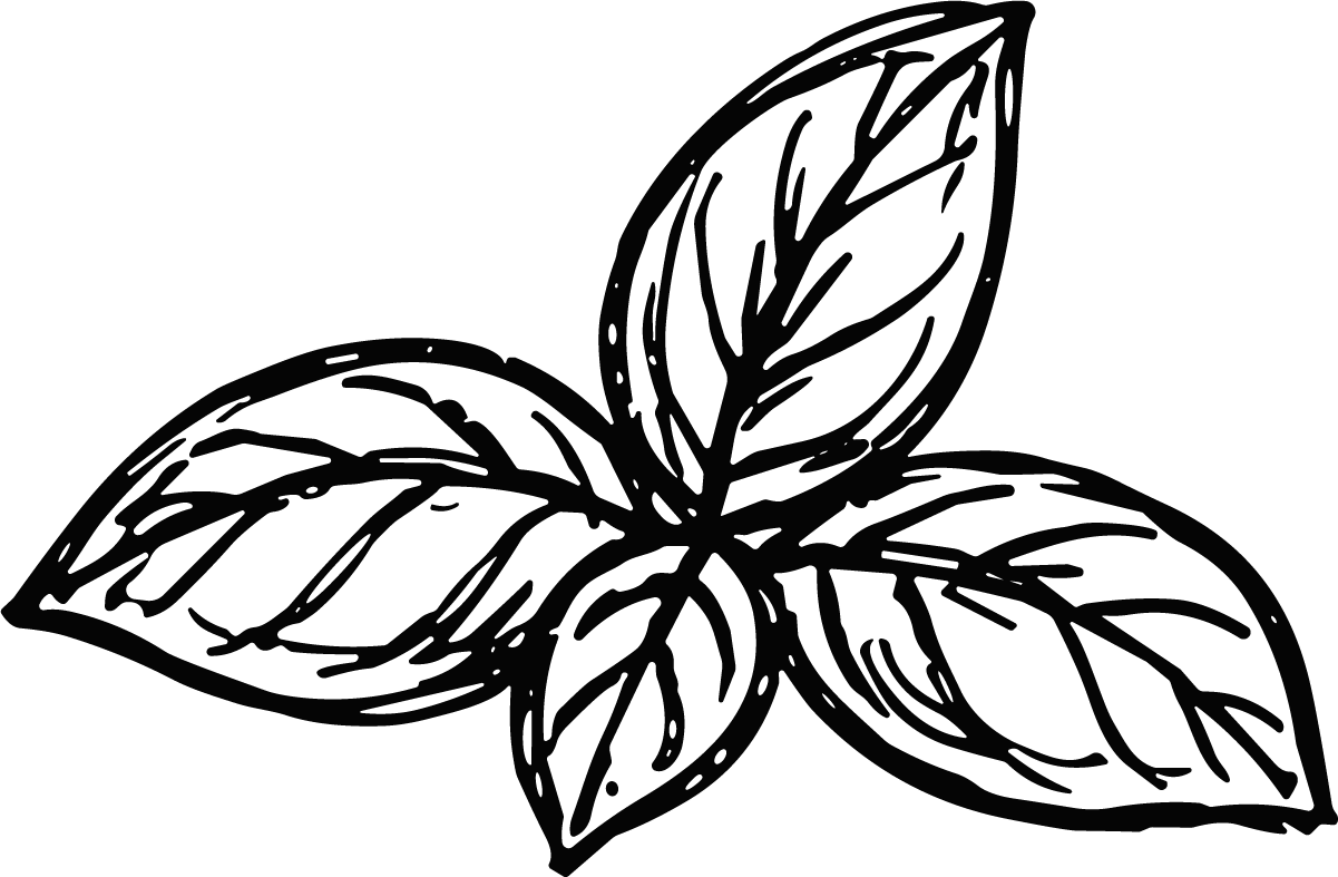 Basil Leaves SVG Bold Outline Vector - Image 1