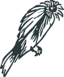 Bird Of Prey SVG Rough Ink Sketch Vector