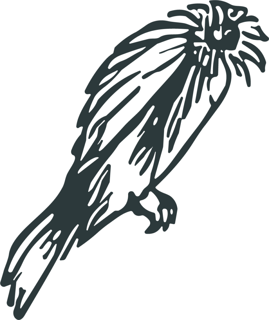 Bird Of Prey SVG Rough Ink Sketch Vector