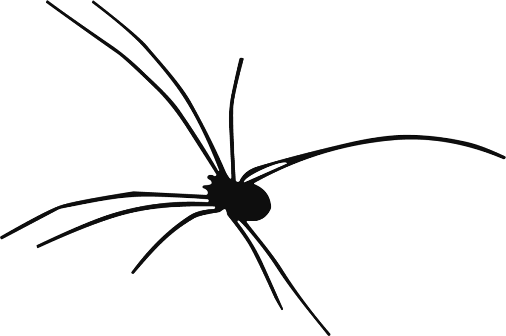 Black Spider SVG Creepy Crawler Vector