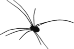 Black Spider SVG Creepy Crawler Vector