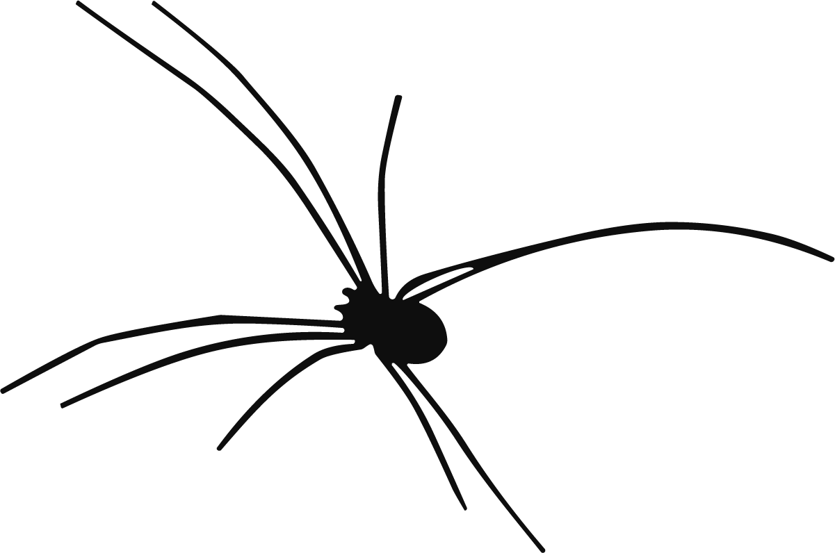 Black Spider SVG Creepy Crawler Vector - Image 1
