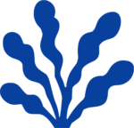Blue Seaweed SVG Flowing Ocean Vector