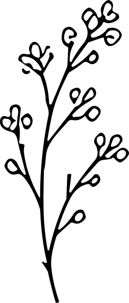 Botanical Branch SVG Delicate Sprig Vector