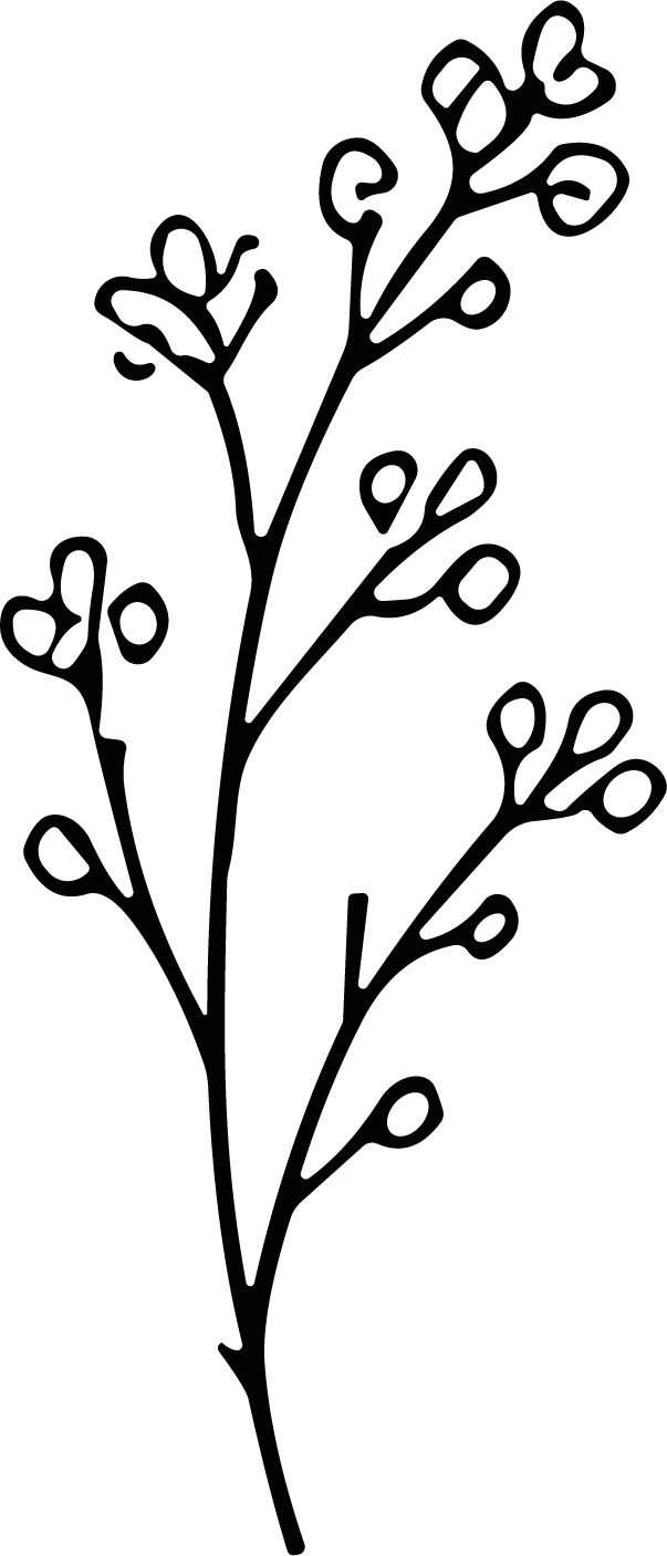 Botanical Branch SVG Delicate Sprig Vector - Image 1