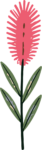 Bottlebrush Flower SVG Vibrant Botanical Vector