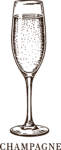 Champagne Glass SVG Bubbly Sketch Vector