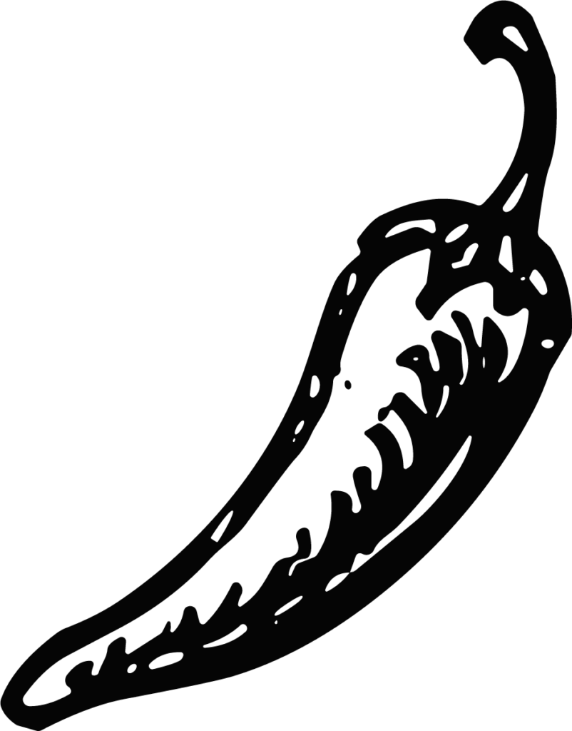 Chili Pepper SVG Bold Sketch Vector