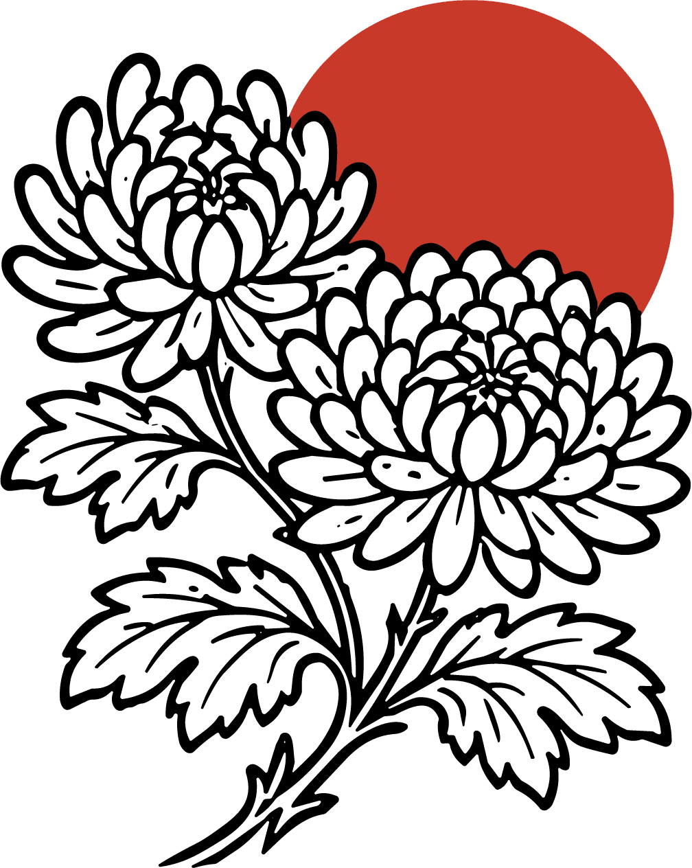 Chrysanthemum Flowers SVG Rising Sun Vector - Image 1