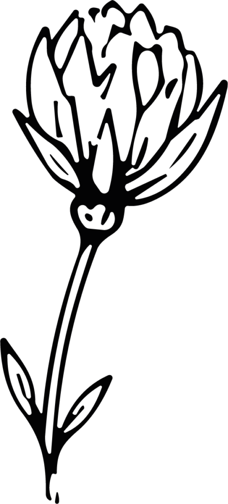 Clover Flower SVG Bold Outline Vector