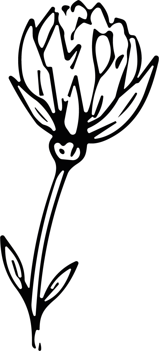 Clover Flower SVG Bold Outline Vector - Image 1