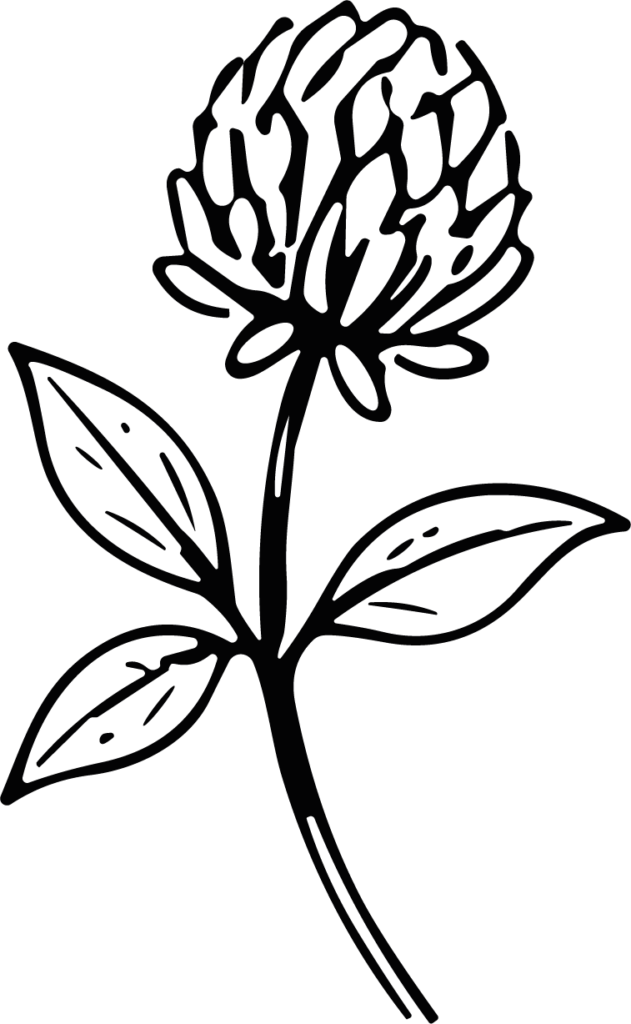 Clover Flower SVG Bold Outline Vector