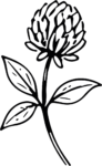 Clover Flower SVG Bold Outline Vector