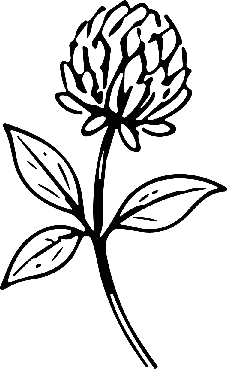 Clover Flower SVG Bold Outline Vector - Image 1