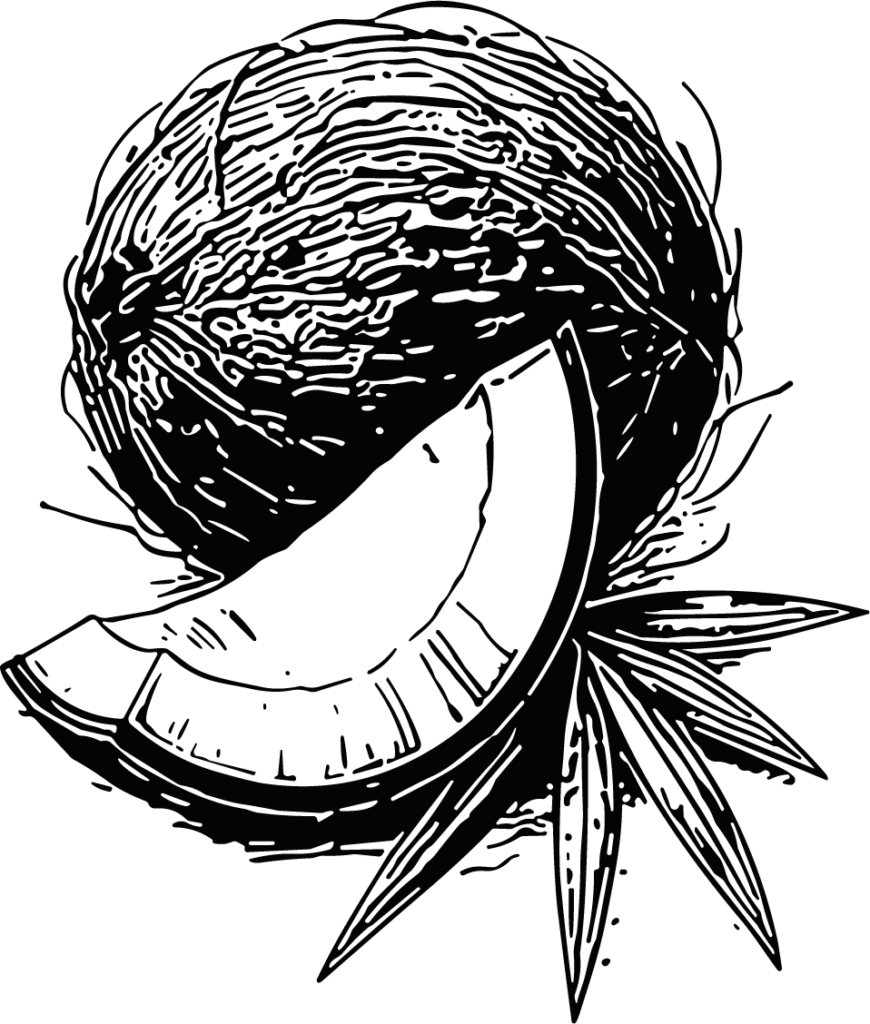 Coconut Slice Bold Engraved Vector