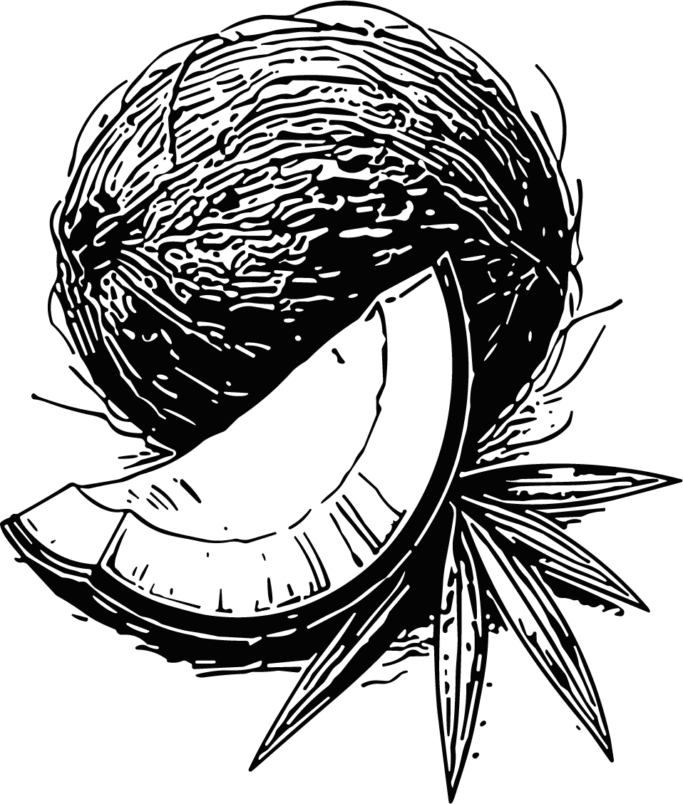 Coconut Slice Bold Engraved Vector - Image 1