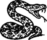 Coiled Snake SVG Bold Black Ink Vector
