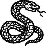 Coiled Snake SVG Bold Serpentine Vector