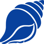 Conch Shell SVG Bold Silhouette Vector