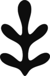 Coral Branch SVG Organic Silhouette Vector