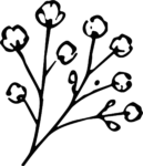 Cotton Branch SVG Delicate Botanical Vector