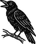 Crow On Branch SVG Woodcut Silhouette Vector