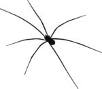 Daddy Long Legs Spider SVG Minimal Black Outline Vector