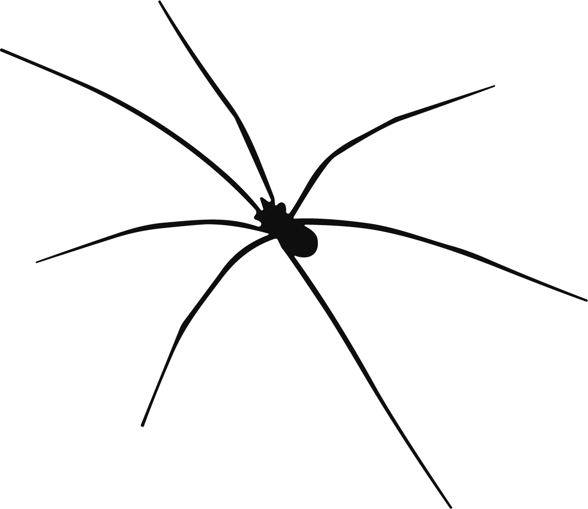 Daddy Long Legs Spider SVG Minimal Black Outline Vector - Image 1
