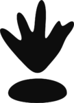 Dinosaur Footprint SVG Prehistoric Silhouette Vector