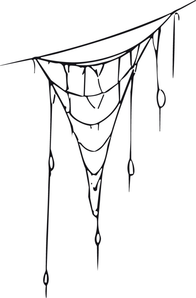 Dripping Spiderweb SVG Eerie Vector