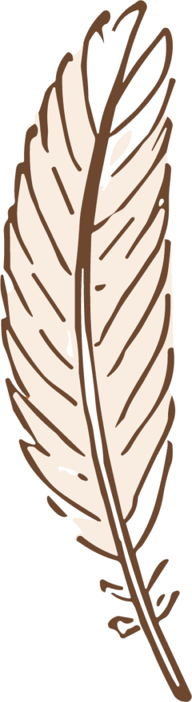 Feather SVG Rustic Sketch Vector