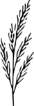 Fern Branch SVG Delicate Botanical Vector