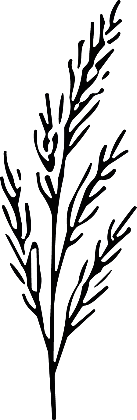 Fern Branch SVG Delicate Botanical Vector - Image 1