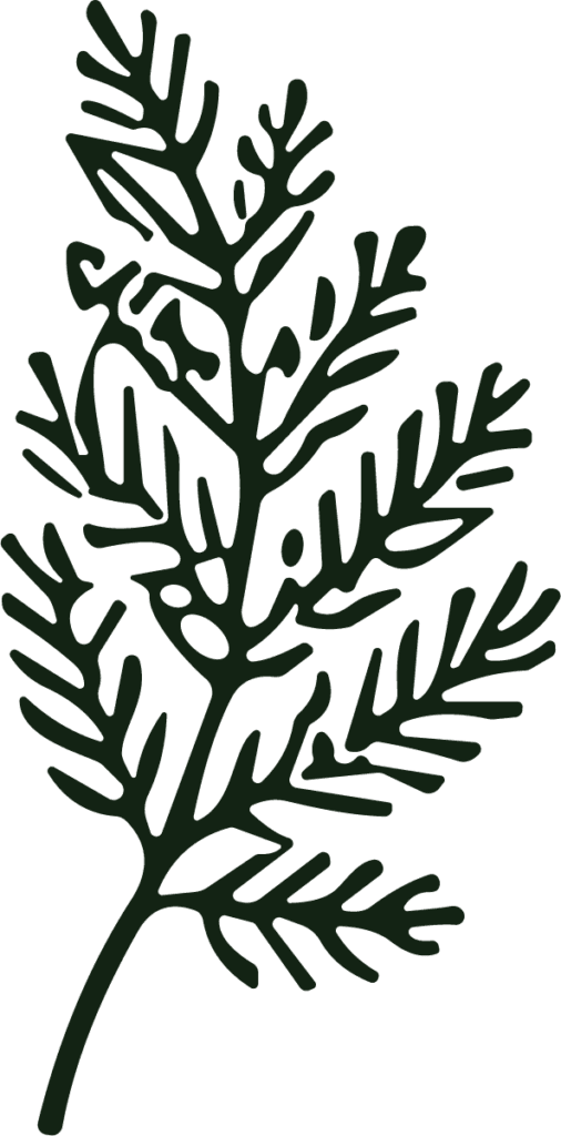 Fern Leaf SVG Bold Botanical Vector