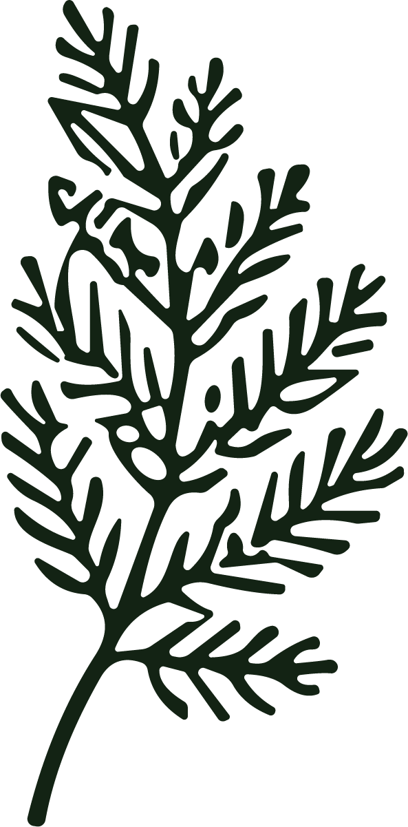 Fern Leaf SVG Bold Botanical Vector - Image 1
