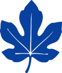 Fig Leaf SVG Bold Silhouette Vector