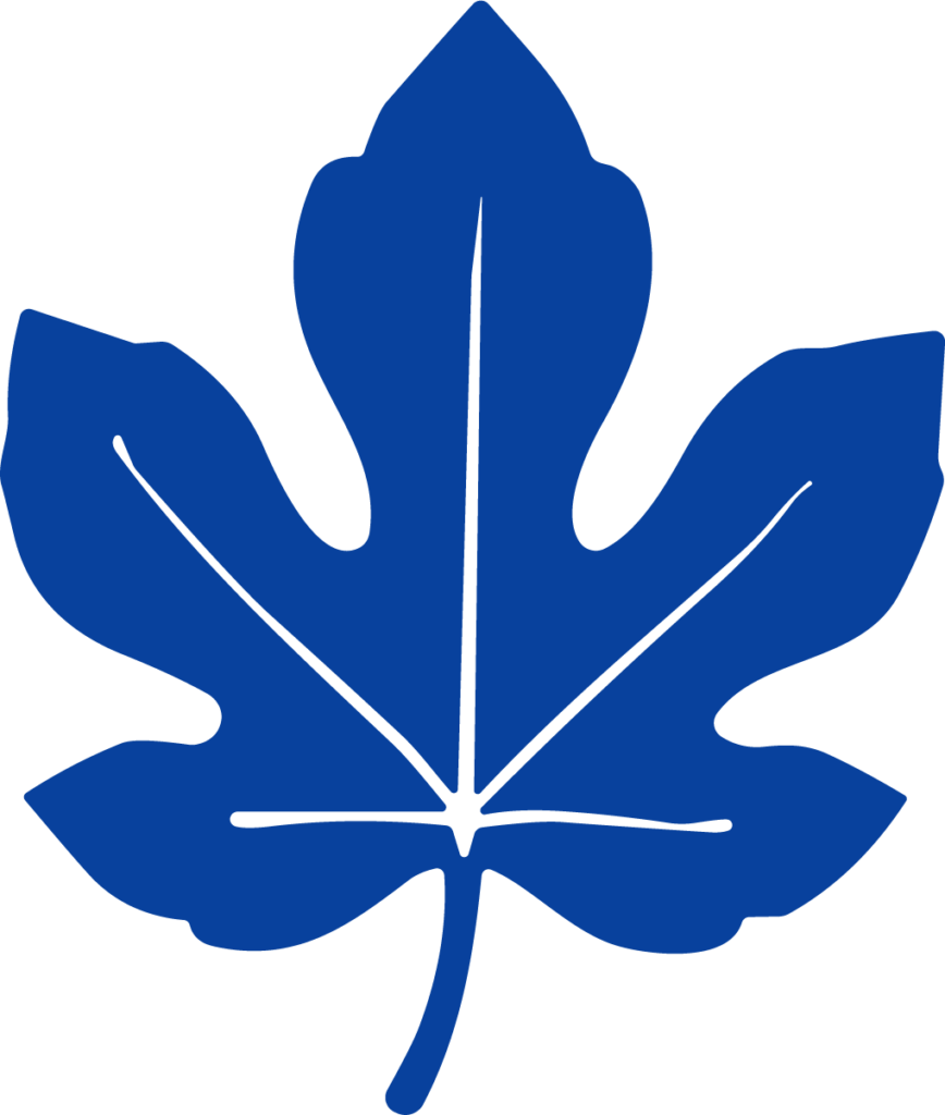 Fig Leaf SVG Bold Silhouette Vector